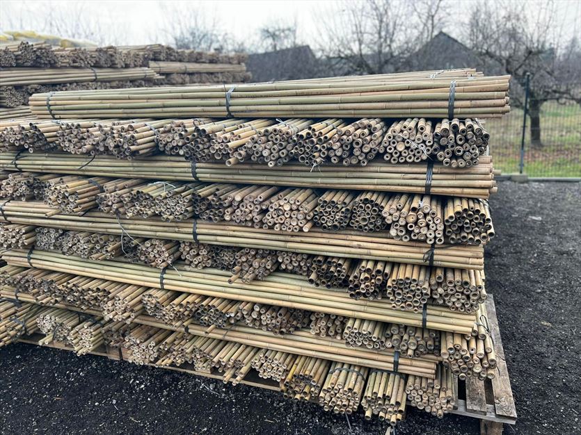 Najwyższej jakości środki ochrony roślin, nawozy i akcesoria sadownicze, INTER MAR – Twój partner w ogrodnictwie i sadownictwie, Skurów